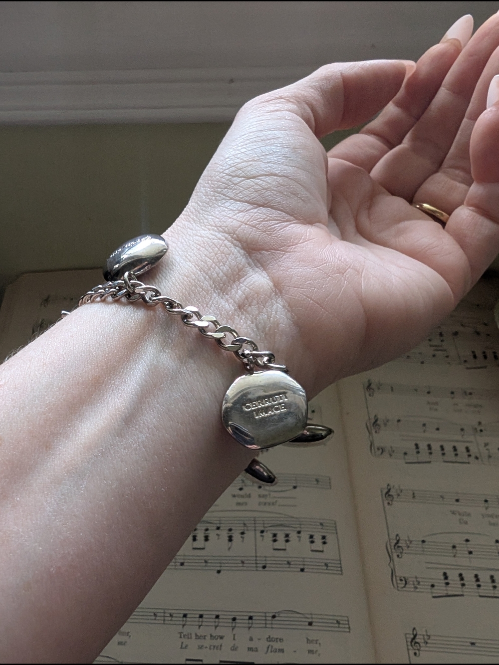 Cerruti Sterling Silver Charm Bracelet with Inspiration Charms - Picture 15 of 16